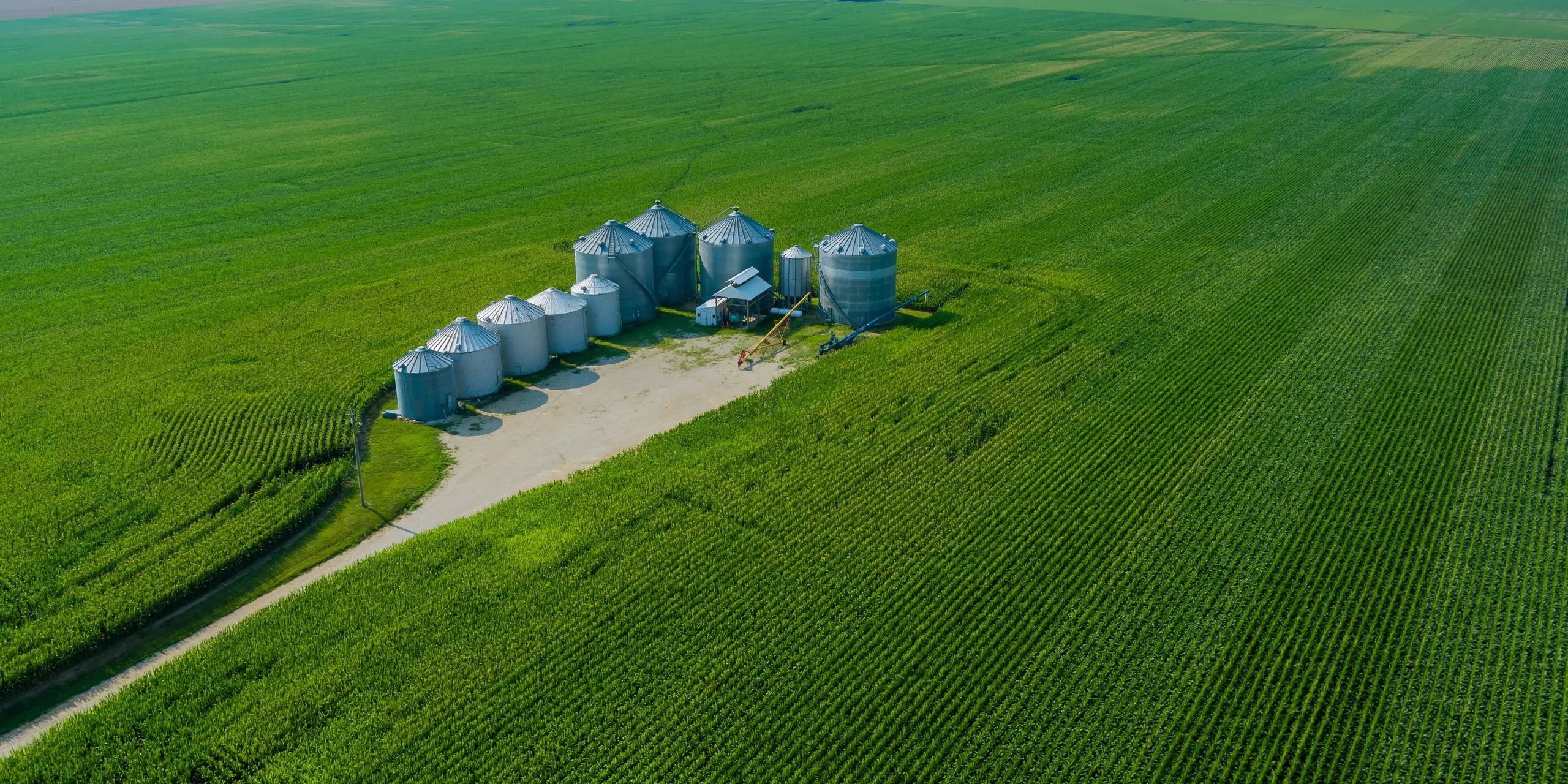 servicios 3 Diseño e Implementación de Sistemas de Automatización: Descripción: El proceso de automatización en Agri Technology Solutions implica el desarrollo e instalación de sistemas que mejoran la eficiencia operativa en procesos agroindustriales. Esto incluye el análisis de las necesidades del cliente, el diseño de sistemas personalizados, y la implementación de tecnología avanzada para automatizar operaciones.